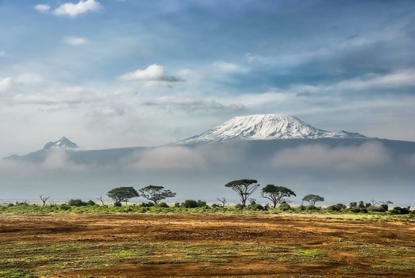 Émotions et découvertes naturelles en visitant le Kenya