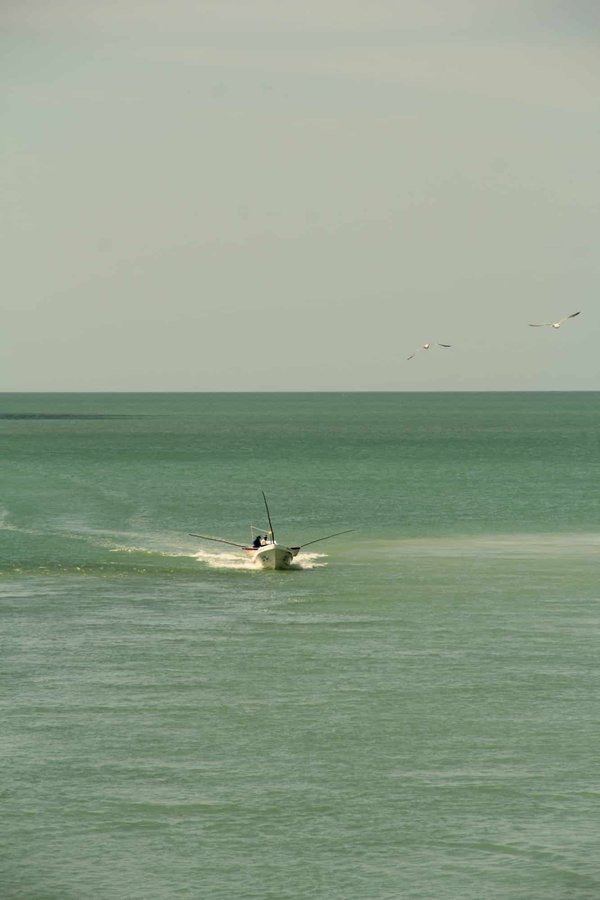 Pourquoi faire de la voile en Bretagne ?
